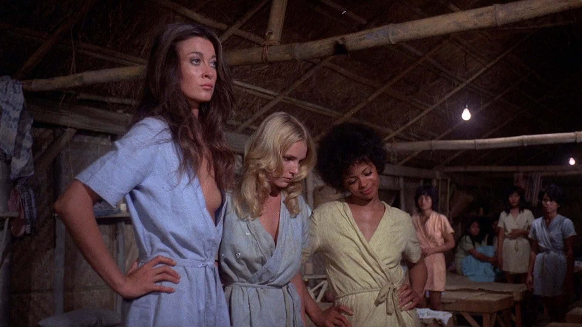 더 빅 버드 케이지