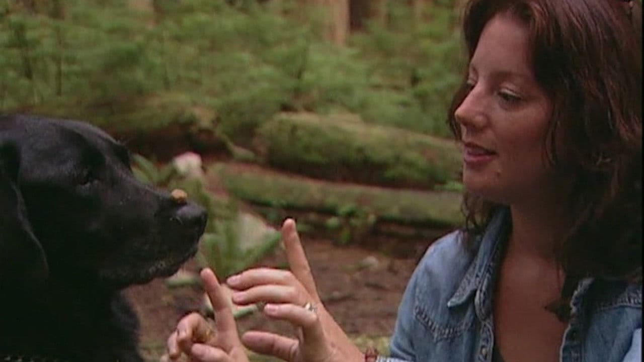 Sarah McLachlan: A Life of Music