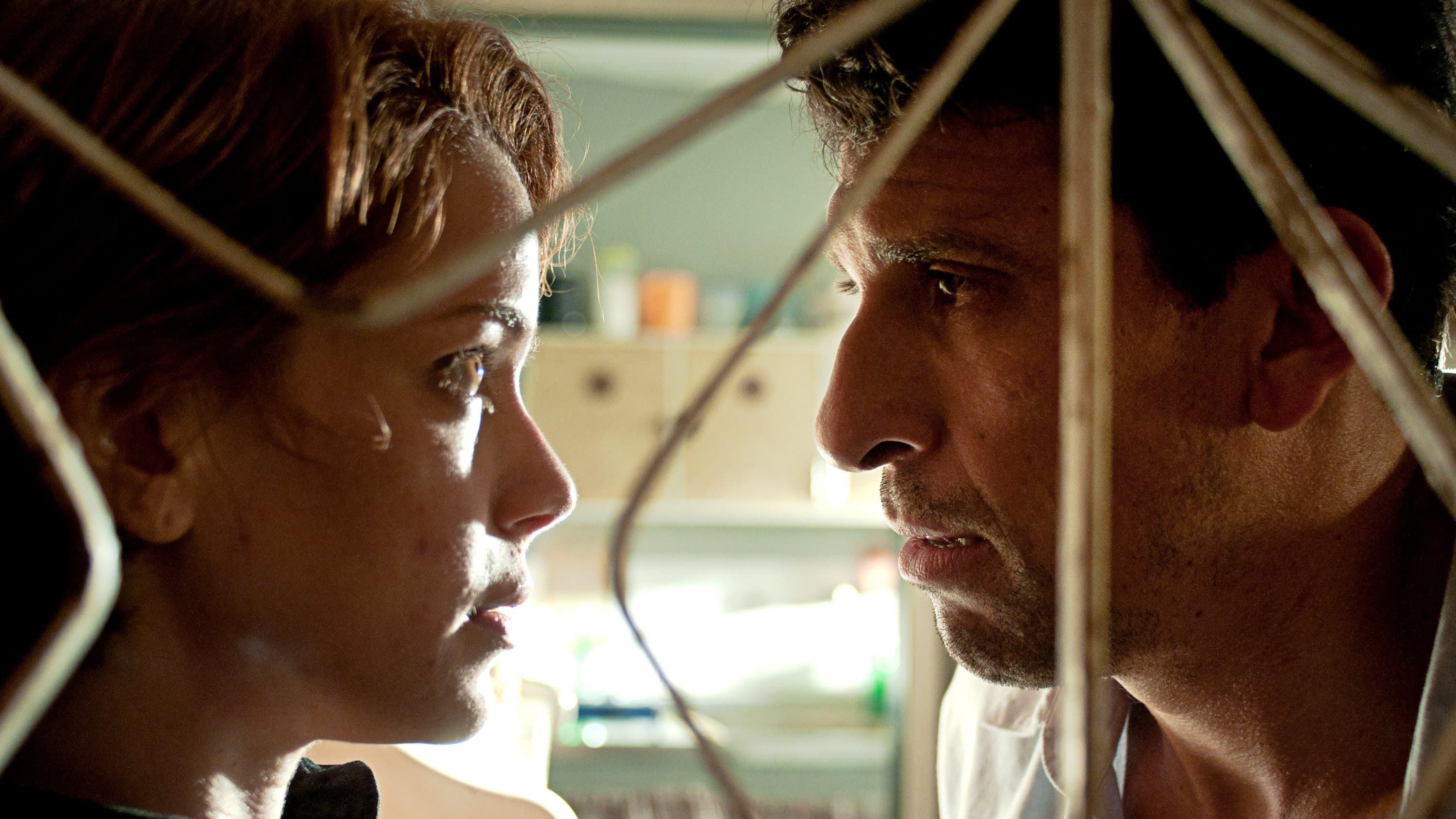 울프 앳 더 도어