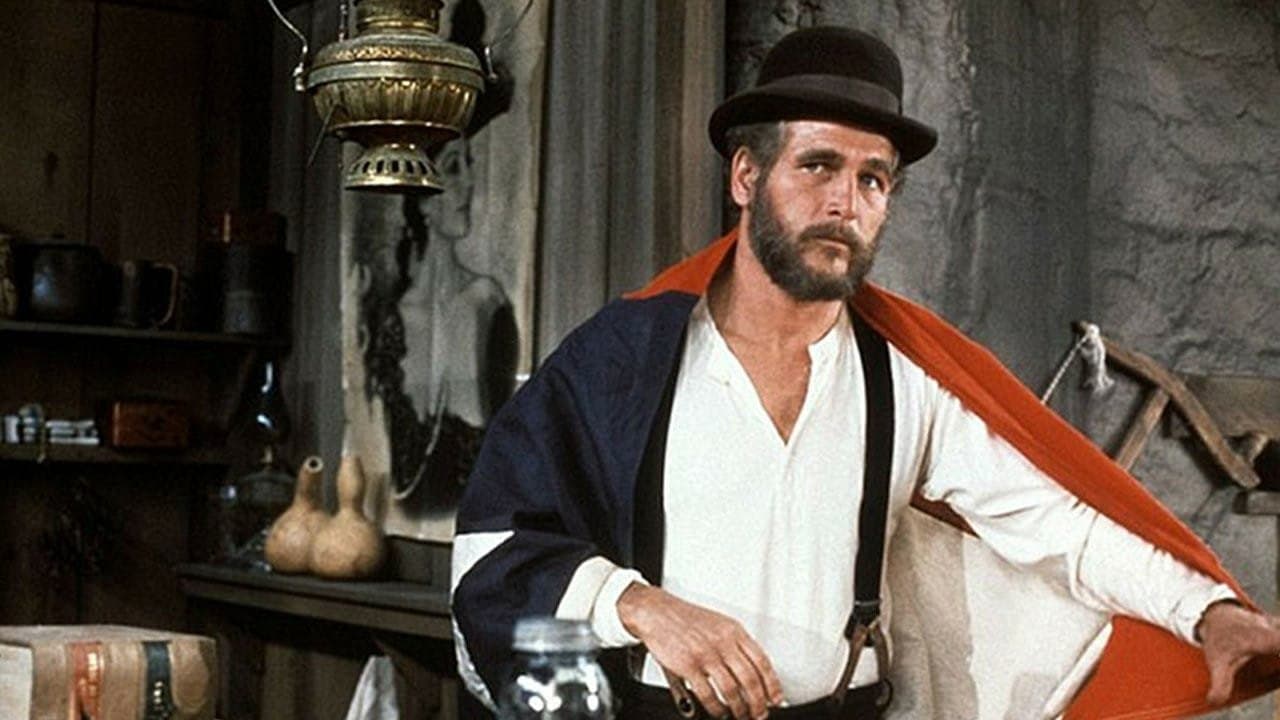 폴 뉴먼의 법과 질서