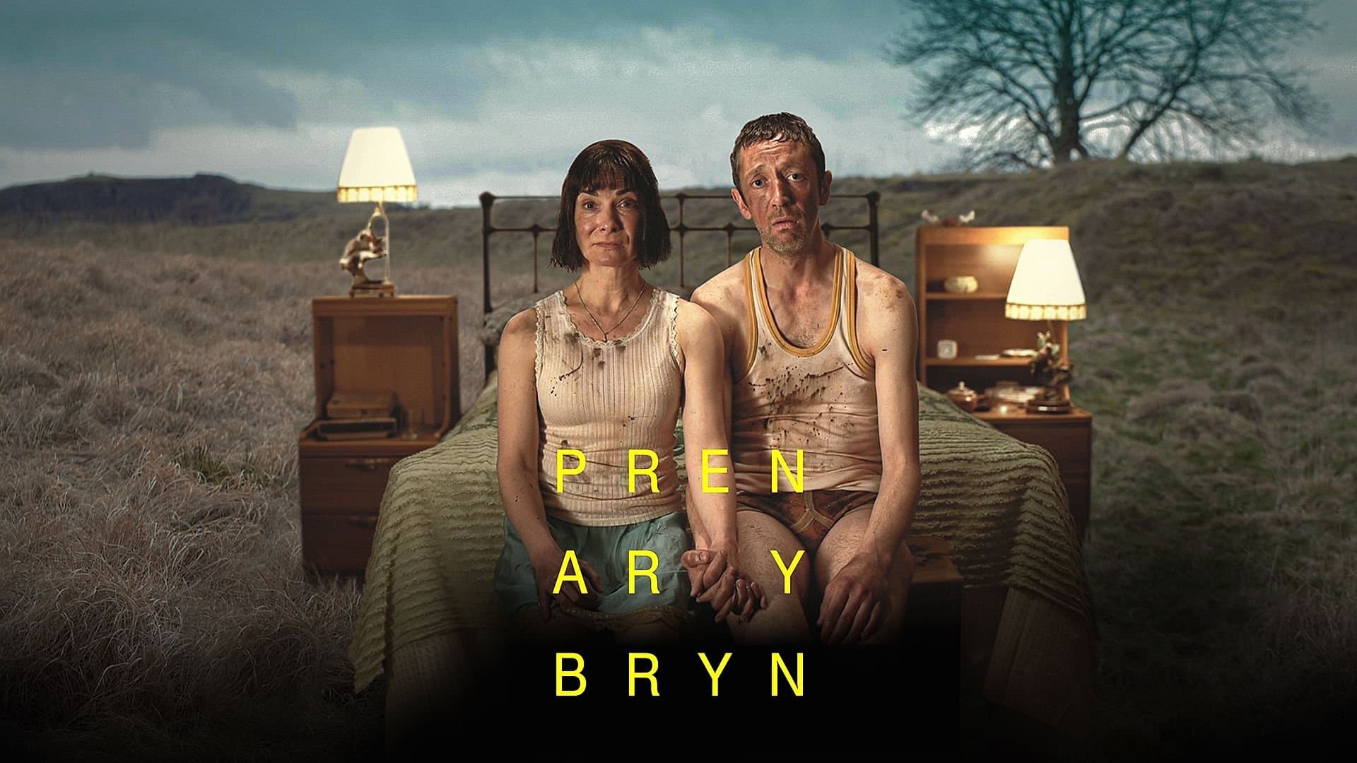 Pren ar y Bryn