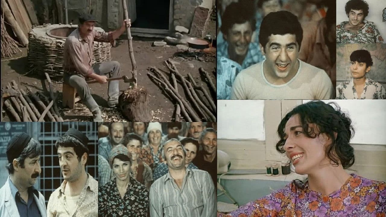 სიყვარული ყველას უნდა