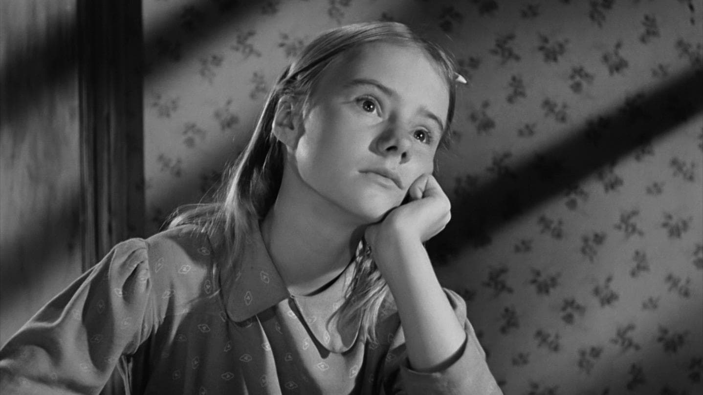 브룩클린의 나무 성장