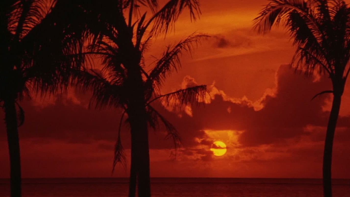 日本の首領 完結篇