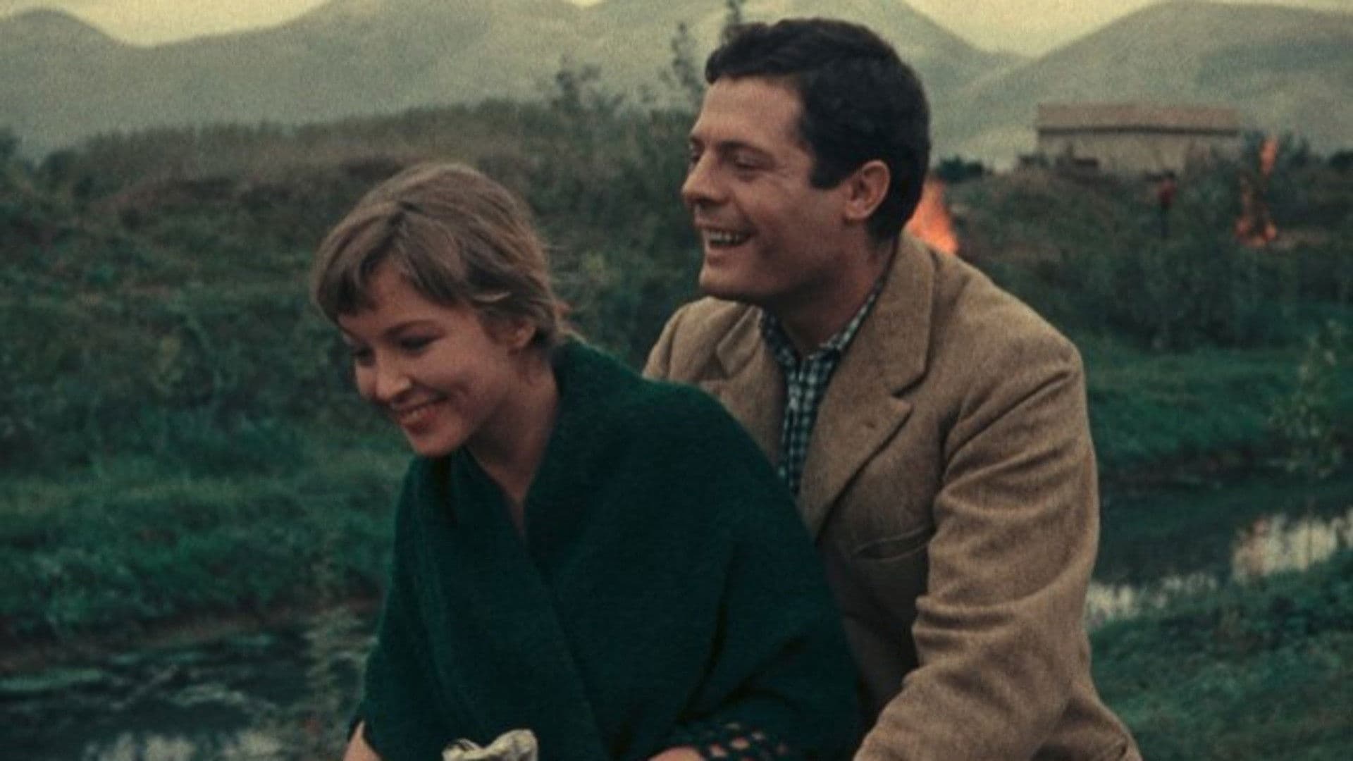 데이즈 오브 러브