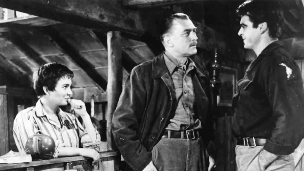 불릿 이즈 웨이팅