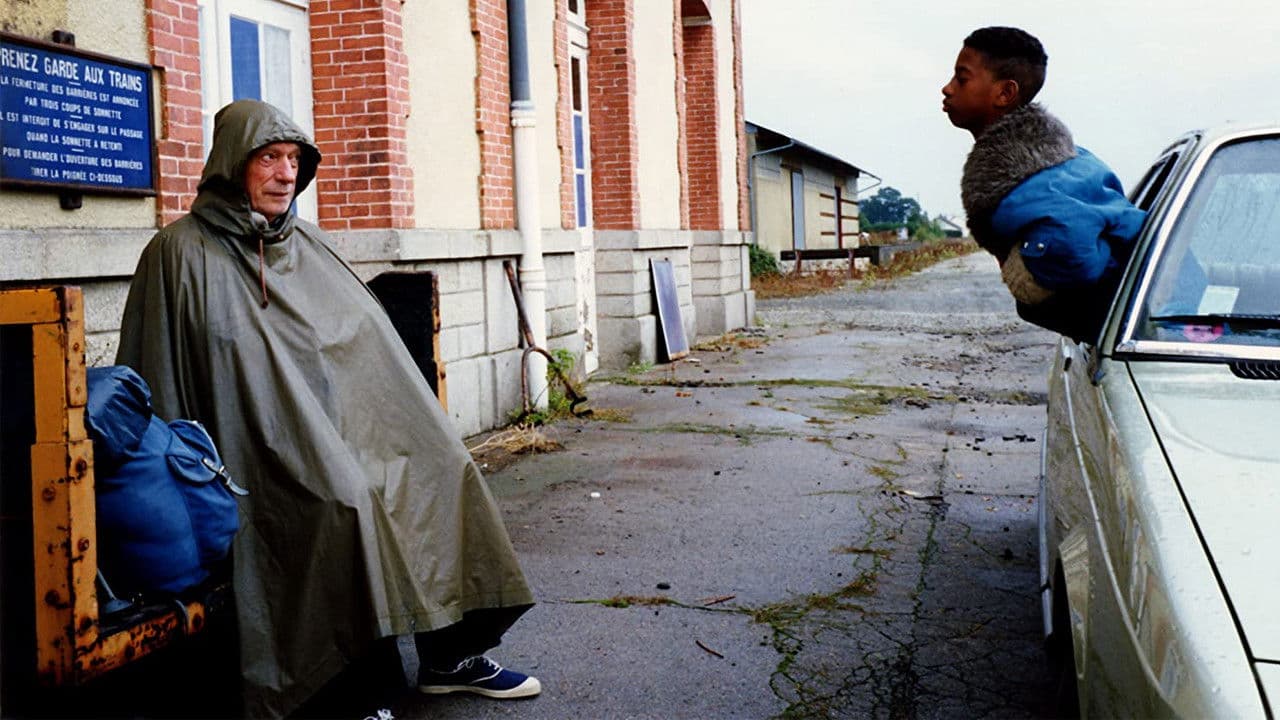 IP5 : L'Île aux pachydermes