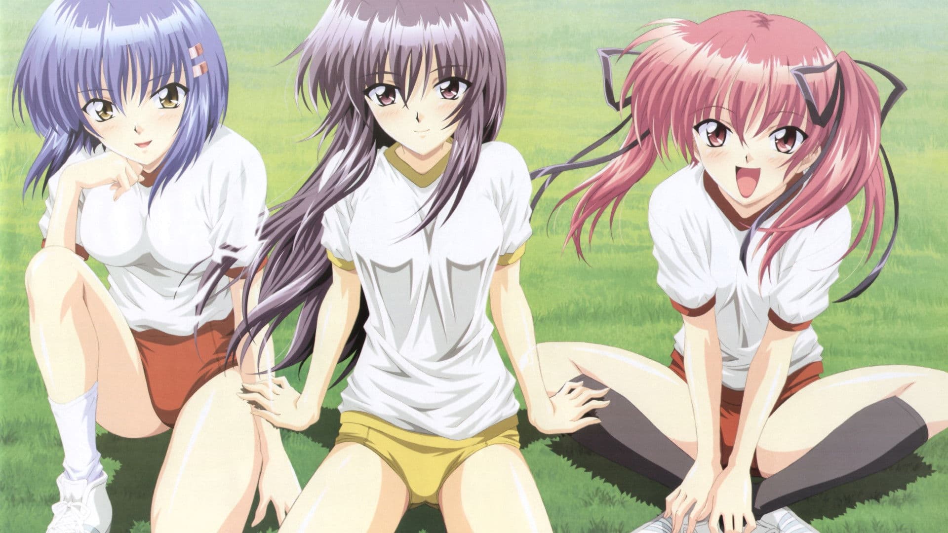 츠요키스 Cool×Sweet