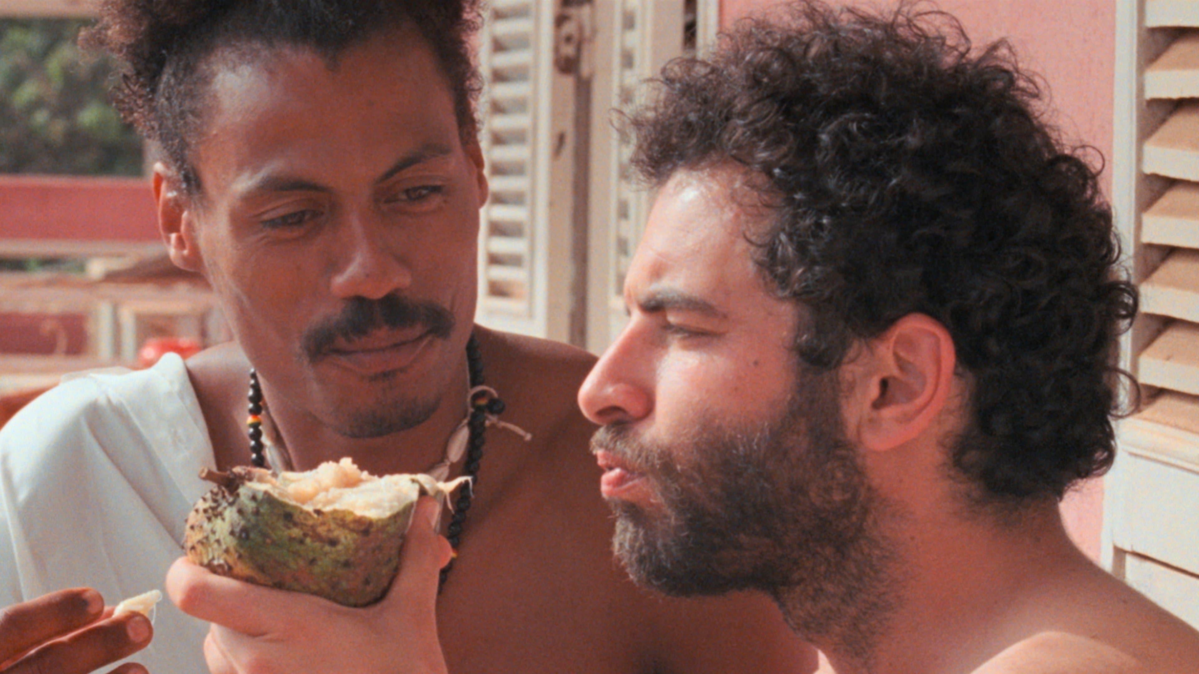 난 폭풍 속에 쉬어가