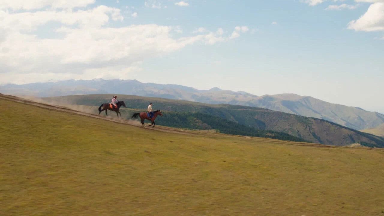 Мой любимый чемпион