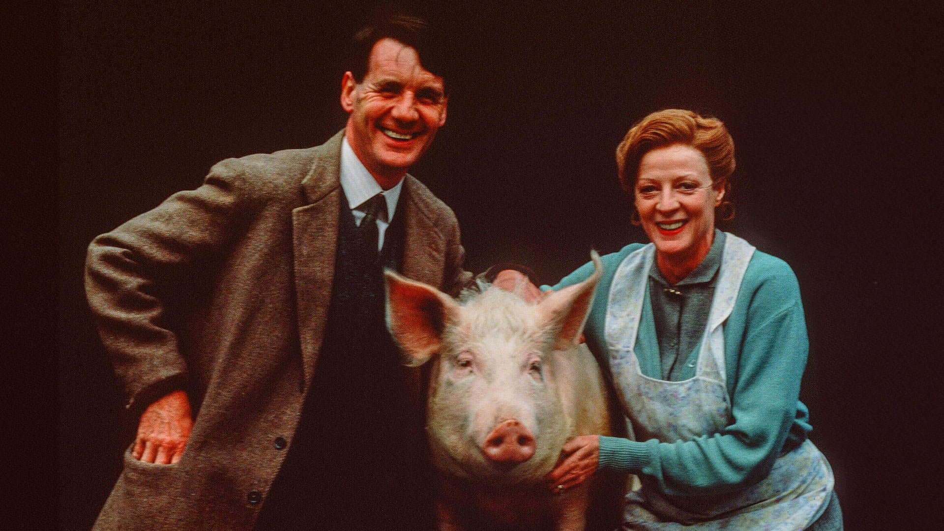 어 프라이빗 펑션