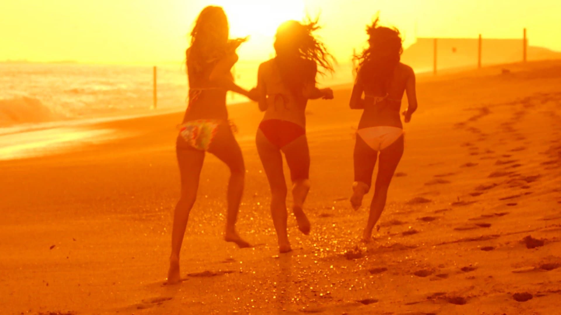 아메리칸 비치 하우스