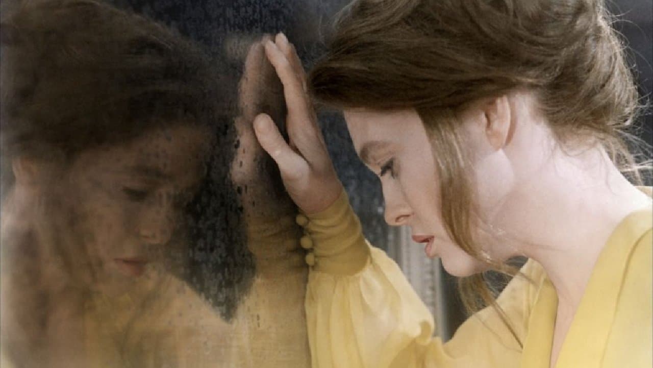 파리는 안개에 젖어