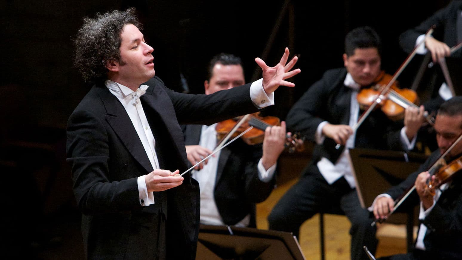 비바 마에스트로