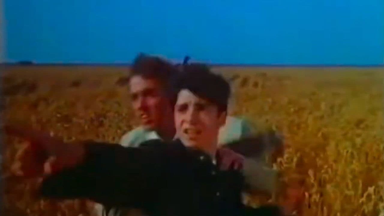 The Diamond Brothers