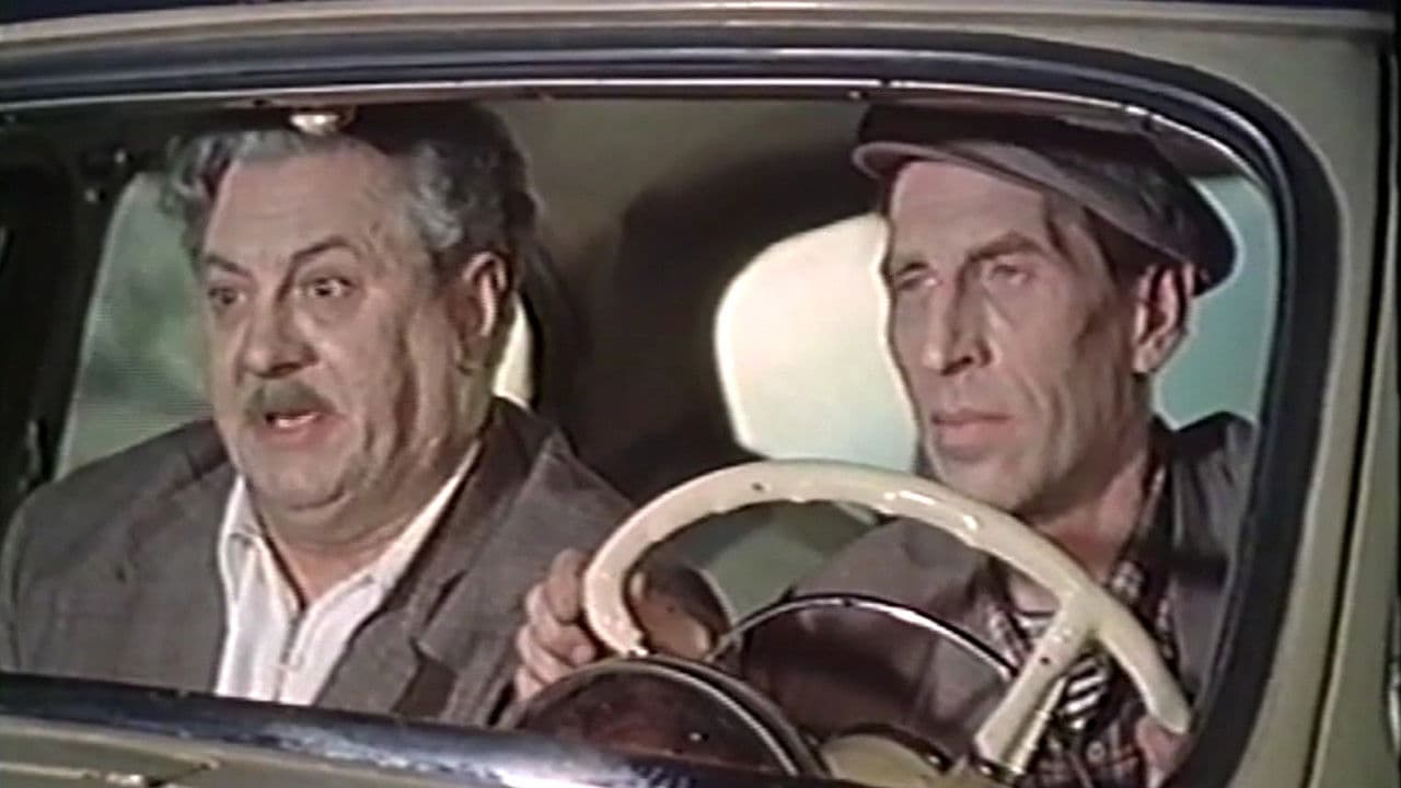 Шофер поневоле