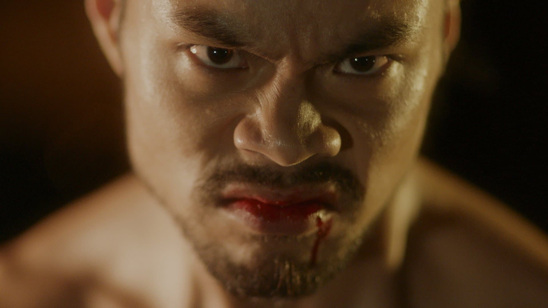 갱 브라더스: 마지막 대결