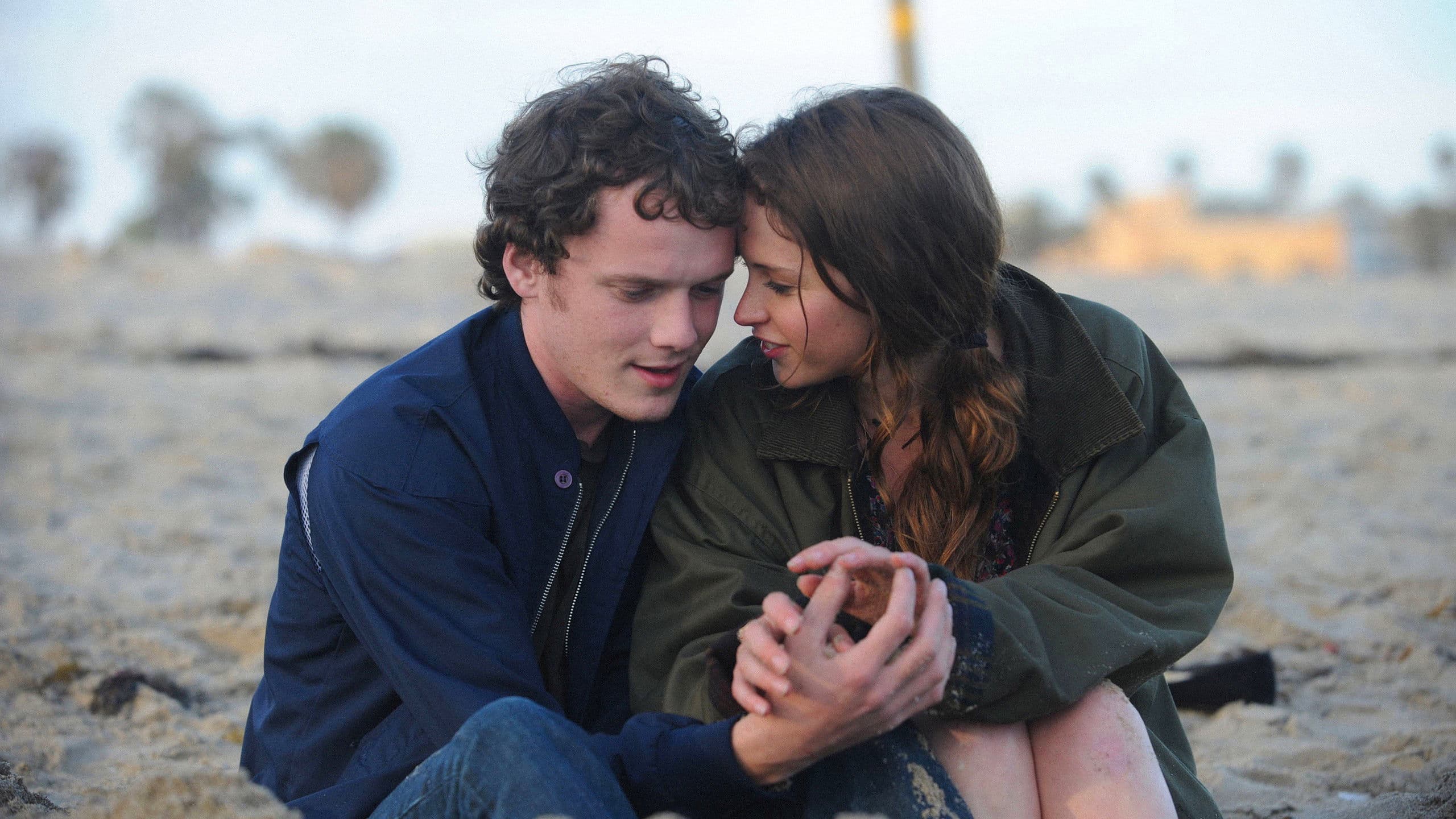 라이크 크레이지