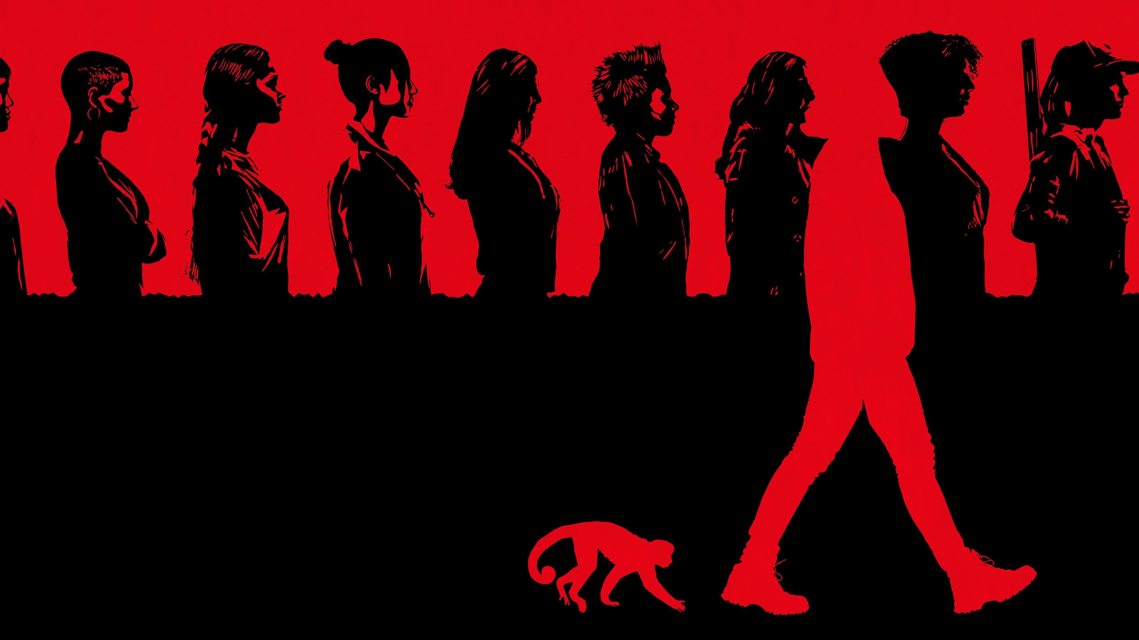 Y: 더 라스트 맨