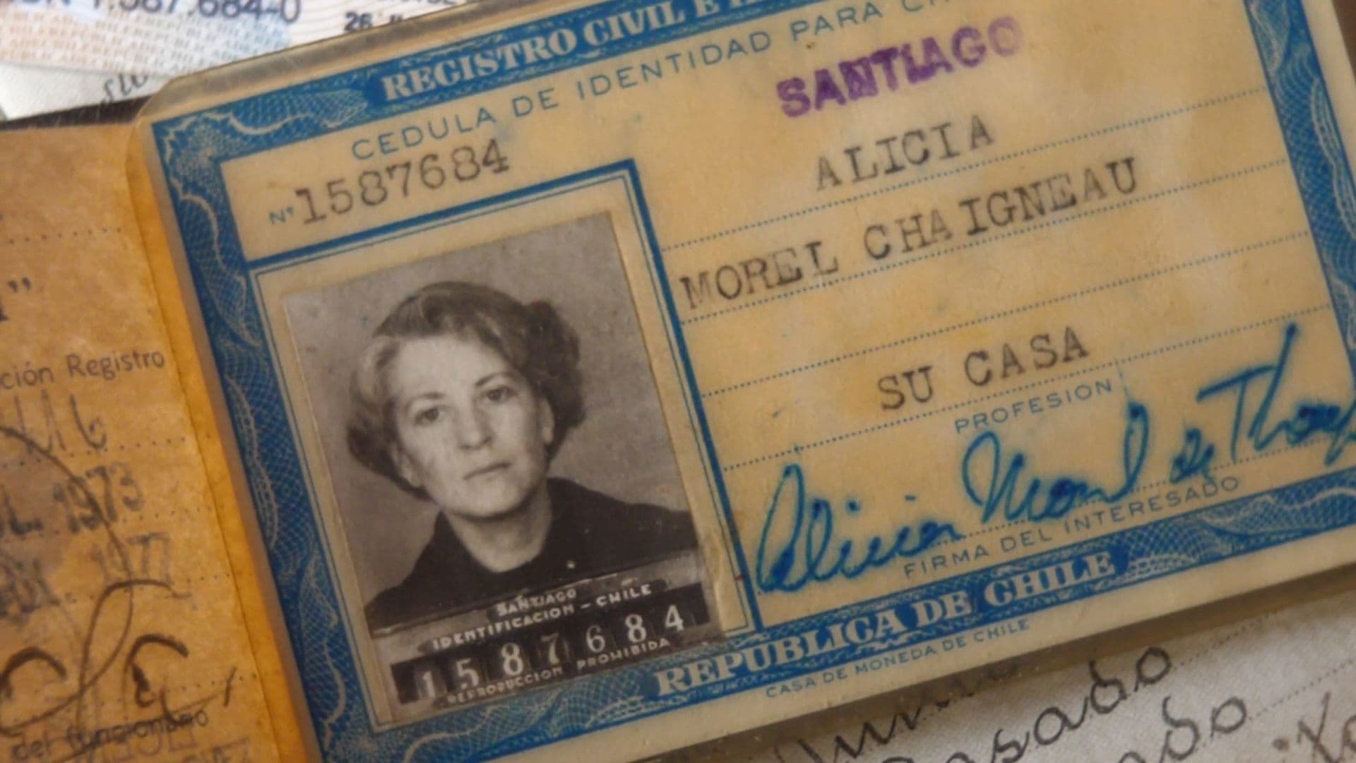 Alicia bajo la higuera