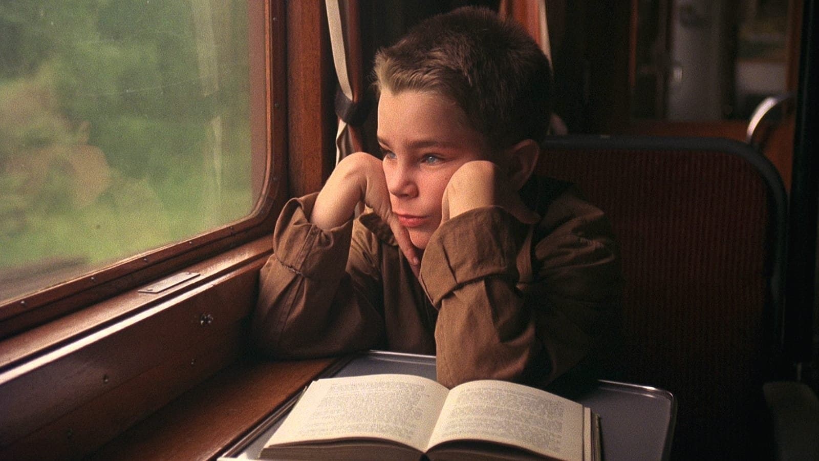 개 같은 내 인생