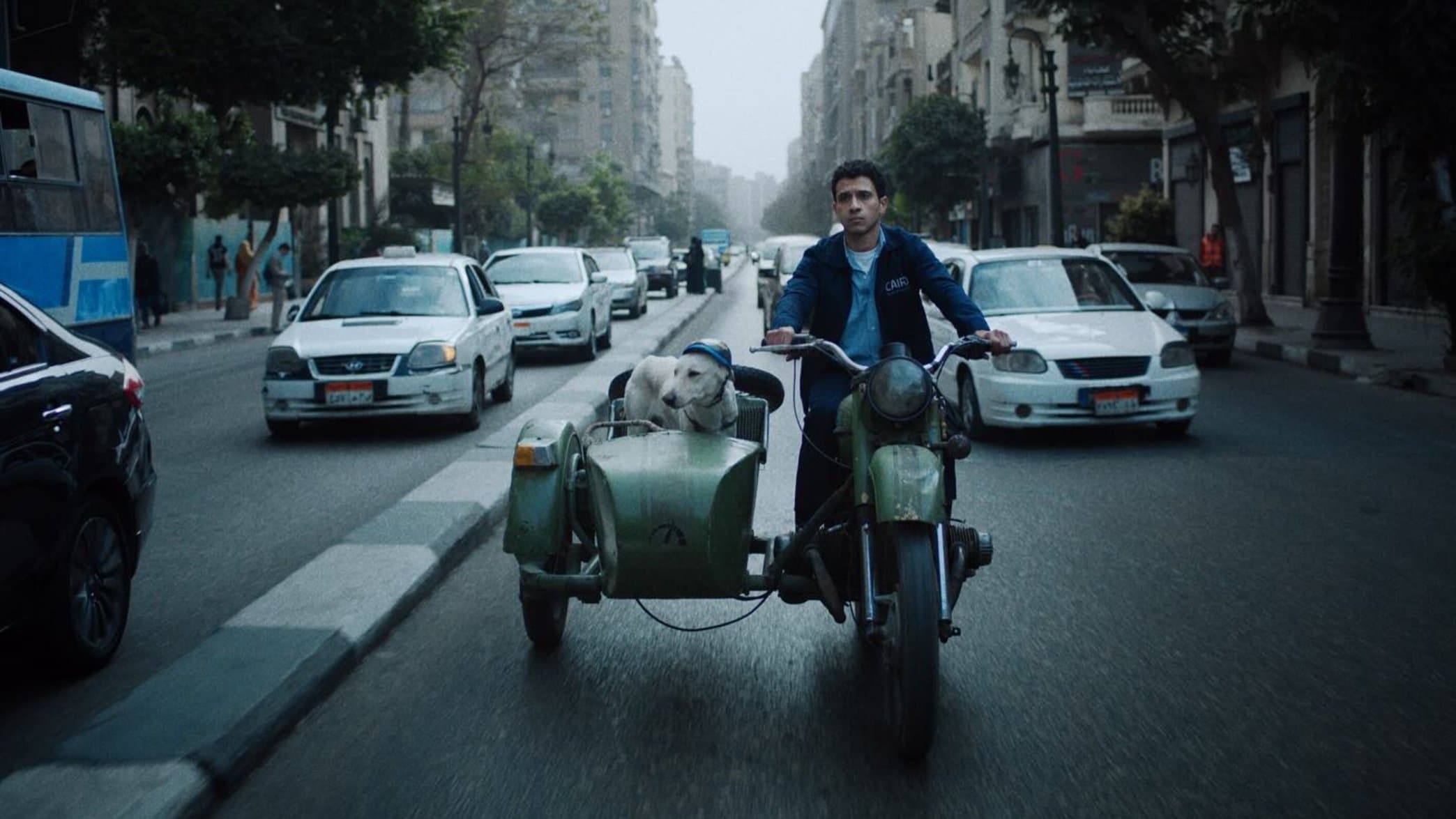 람보가 쉴 곳을 찾아서