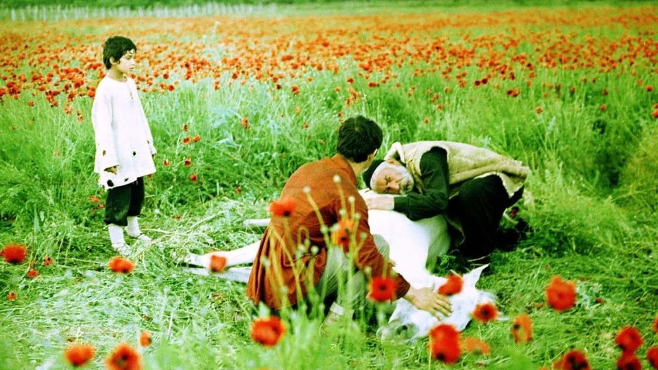 ნატვრის ხე