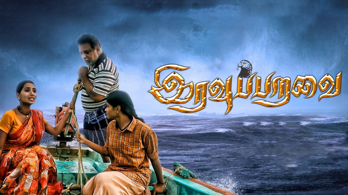 இரவு பறவை