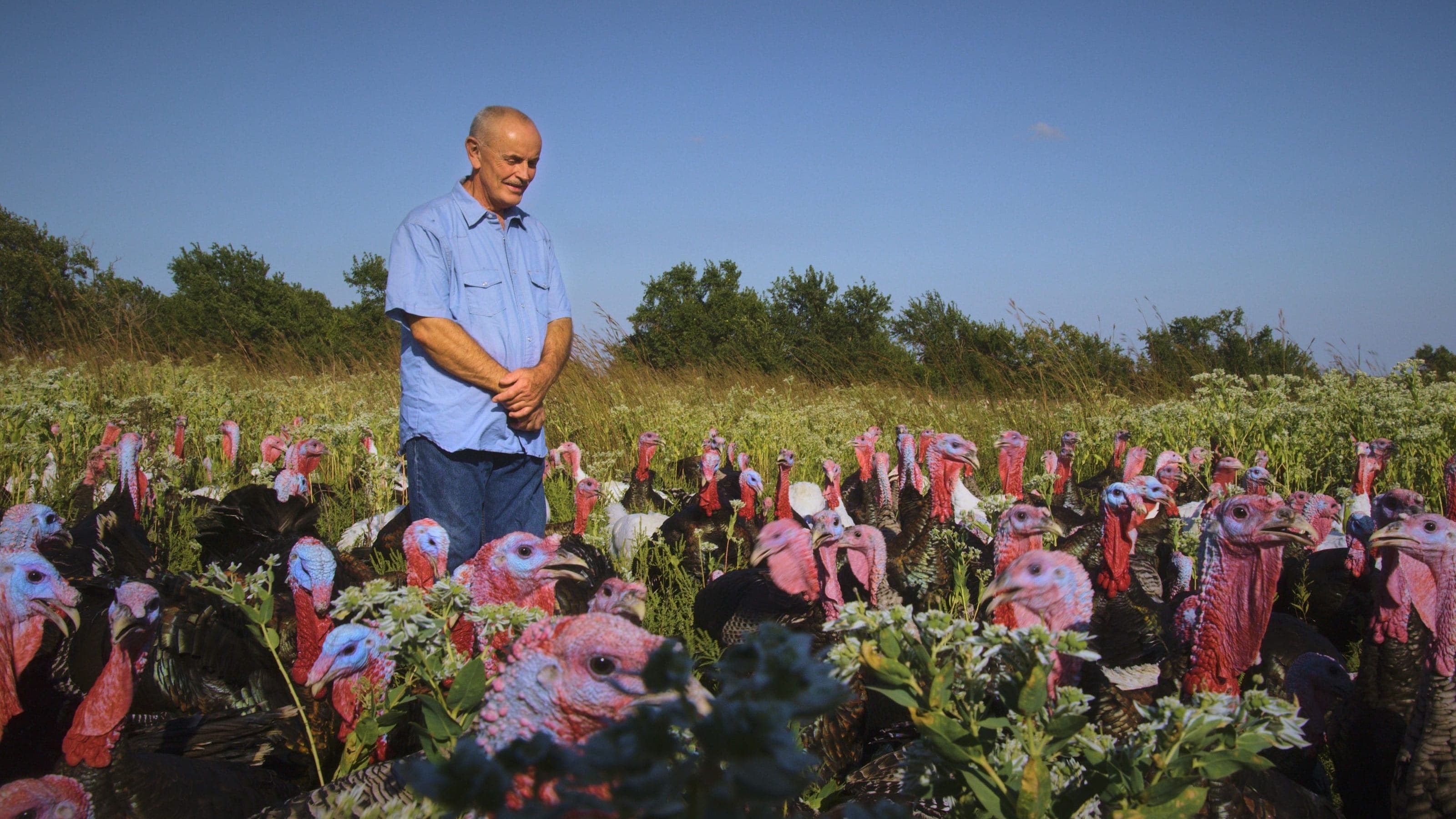 동물을 먹는다는 것에 대하여