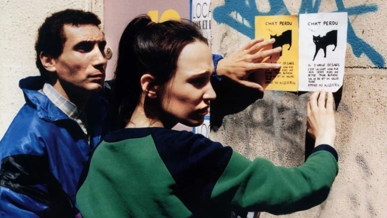 각자의 고양이를 찾아서