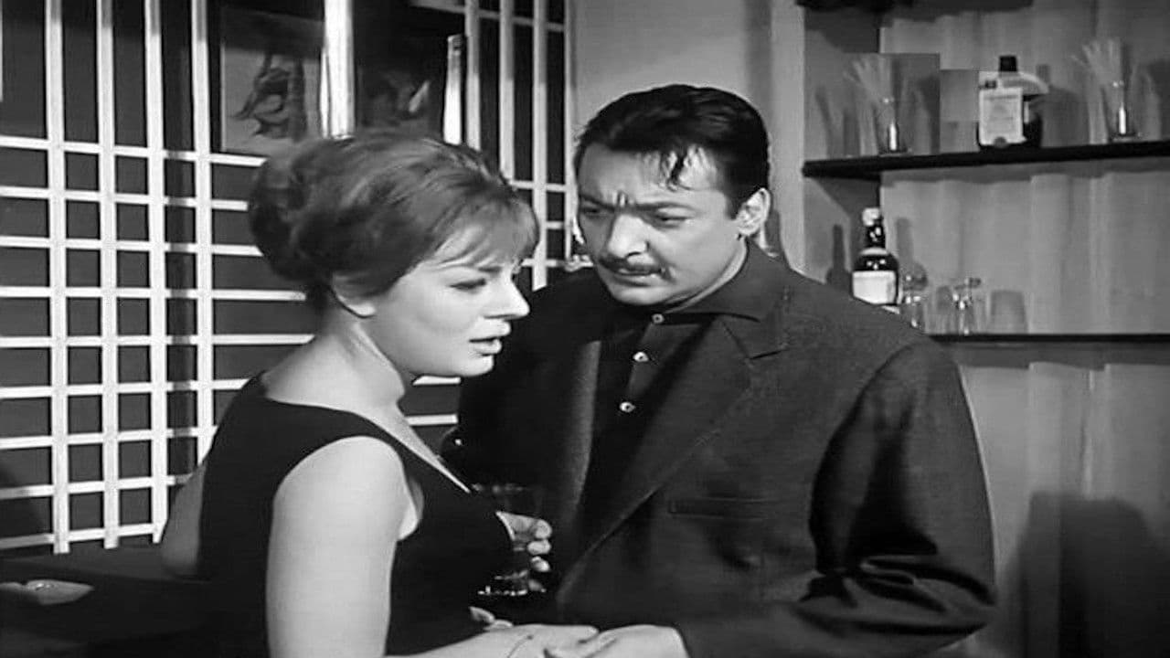 الباحثة عن الحب