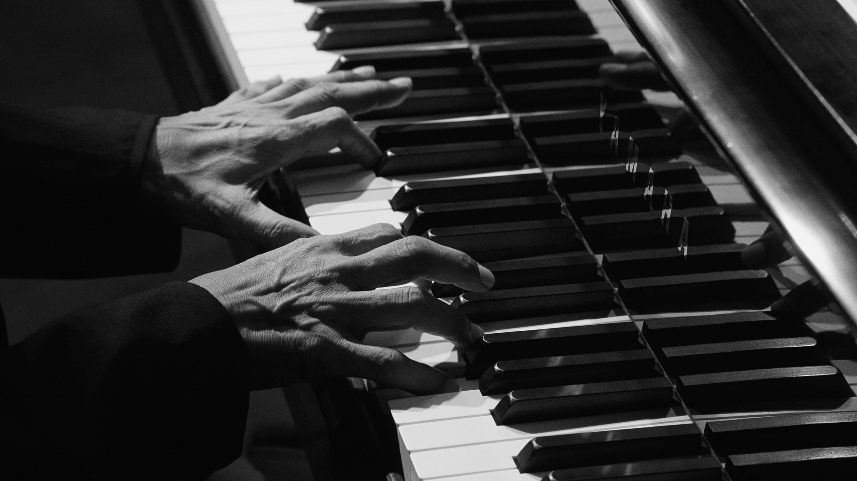 류이치 사카모토: 오퍼스