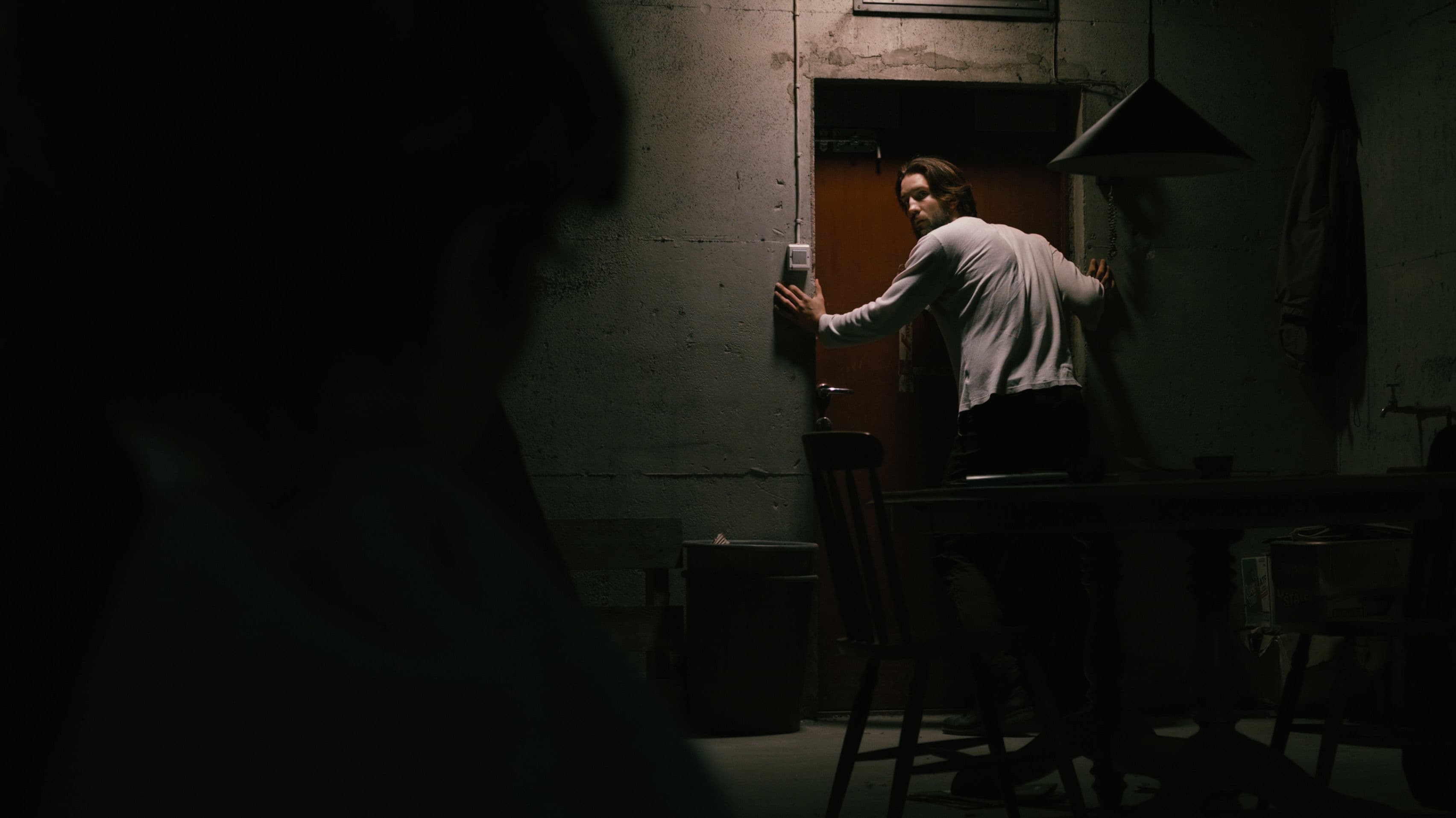 Å slippe inn en ulv