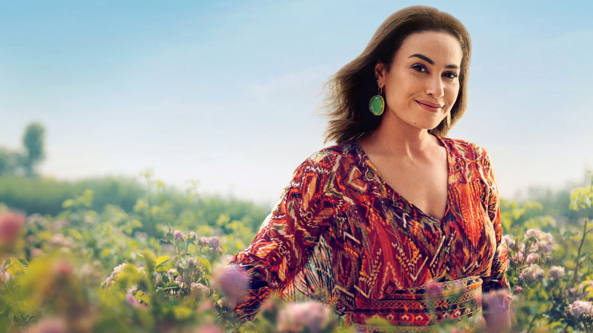 잃어버린 올라를 찾아서