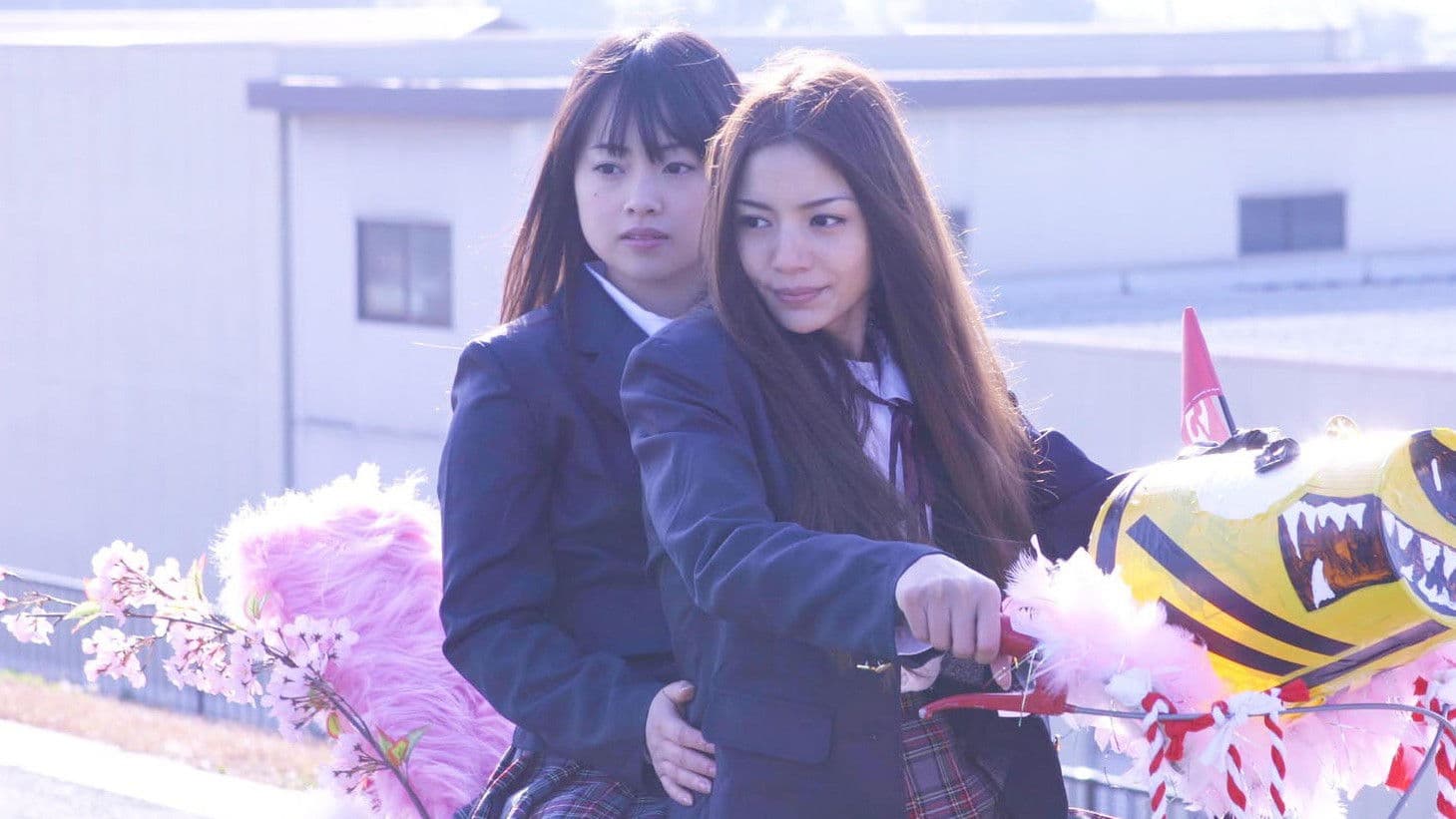 ヤンキー女子高生1 ～茨城最強伝説～