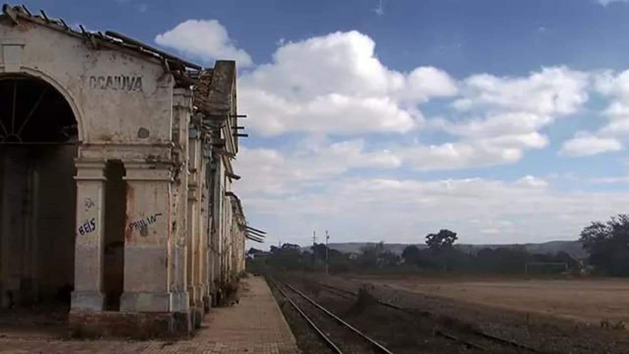 Magnífica Desolação