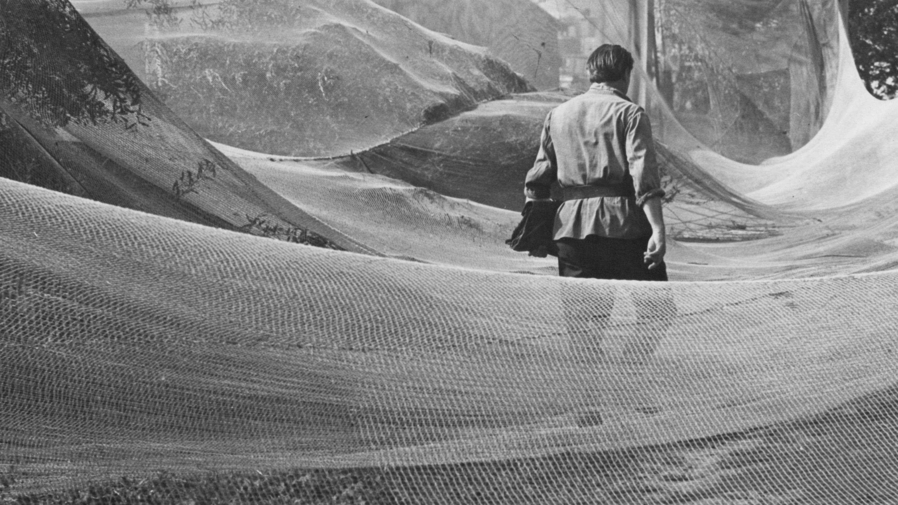 Birželis, vasaros pradžia