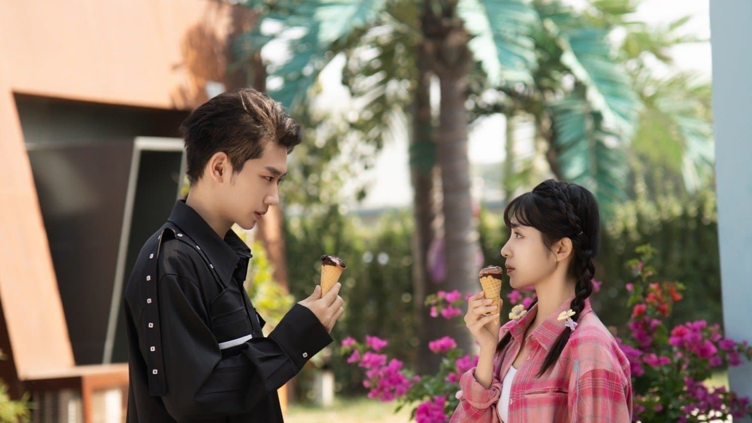 从天而降的幸运星