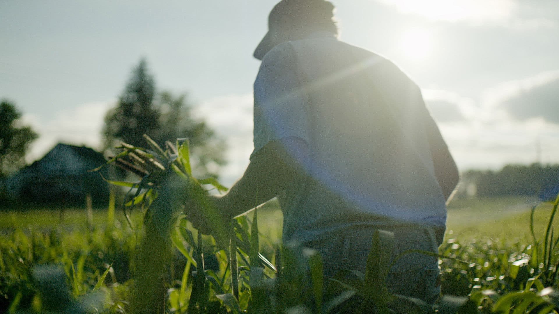 웨이스티드! 더 스토리 오브 푸드 웨이스트