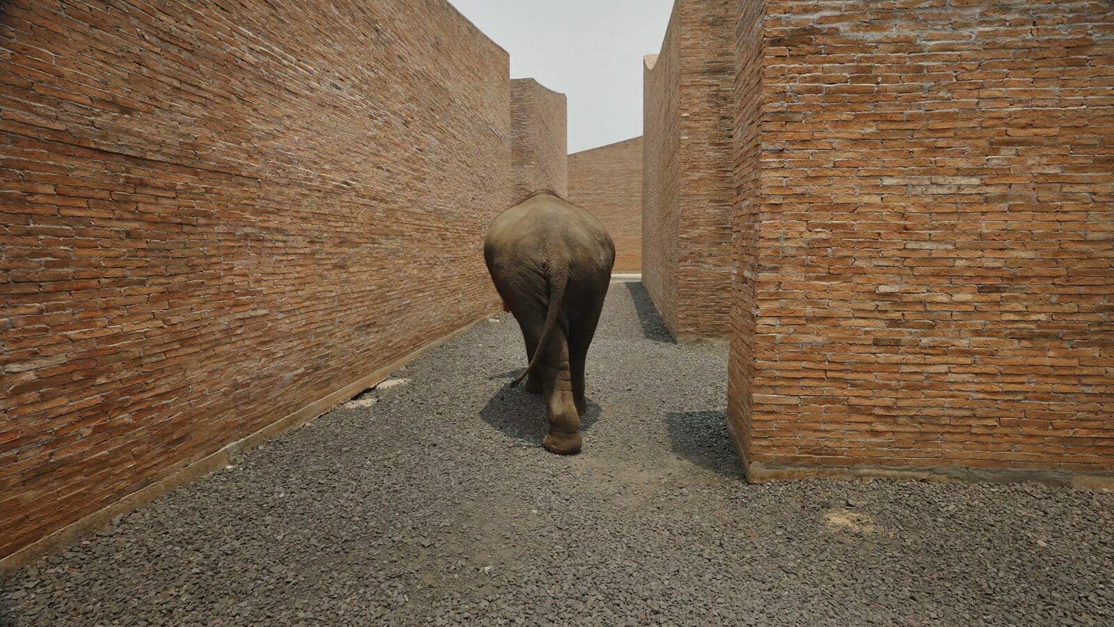 분섬 프렘타다, 소리의 건축