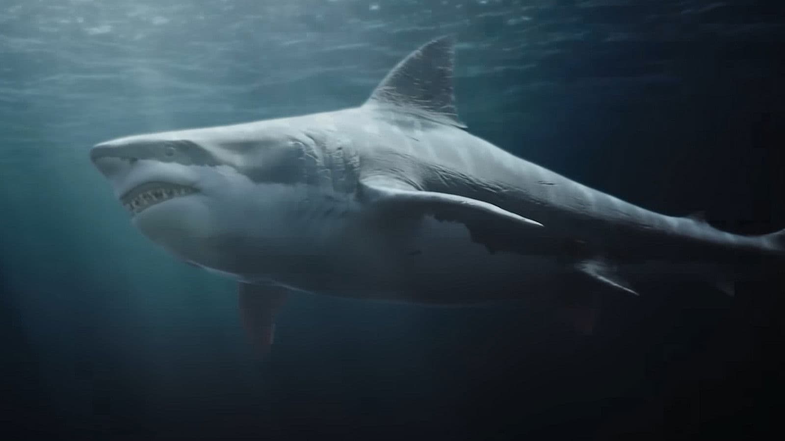 탈명거사: 샤크 킬러