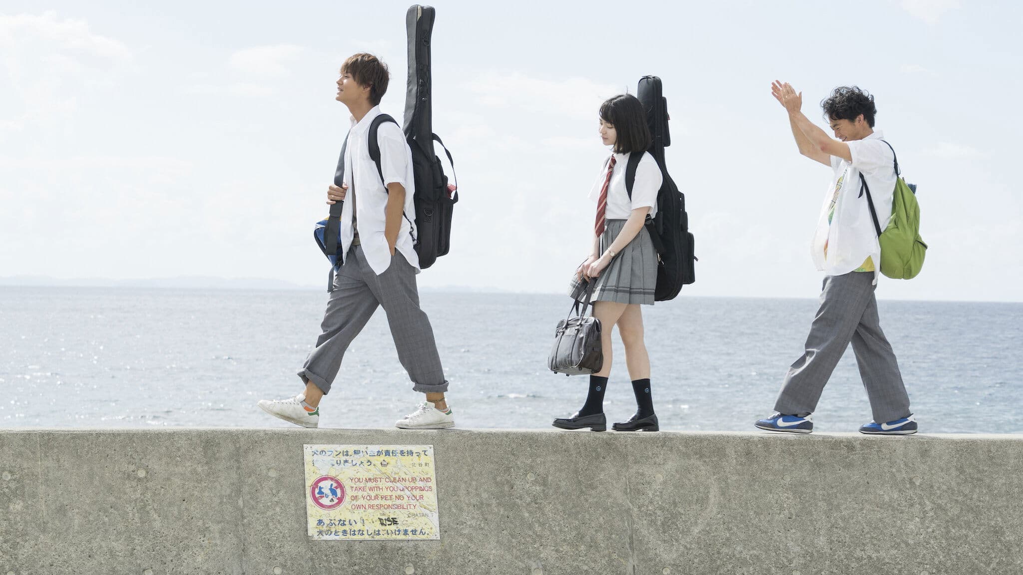 작은 사랑의 노래