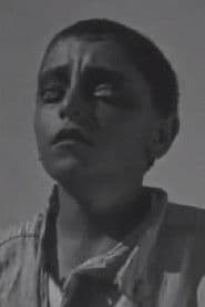 ვლადიმერ ჭიაურელი