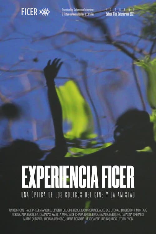 Experiencia FICER