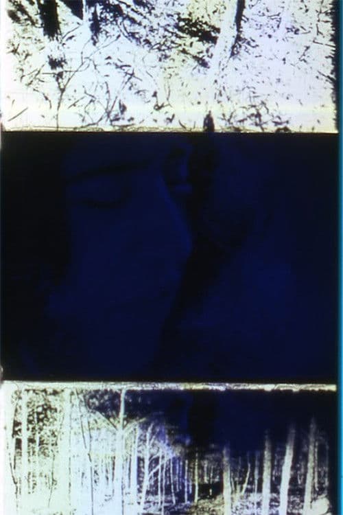 Later That Same Night