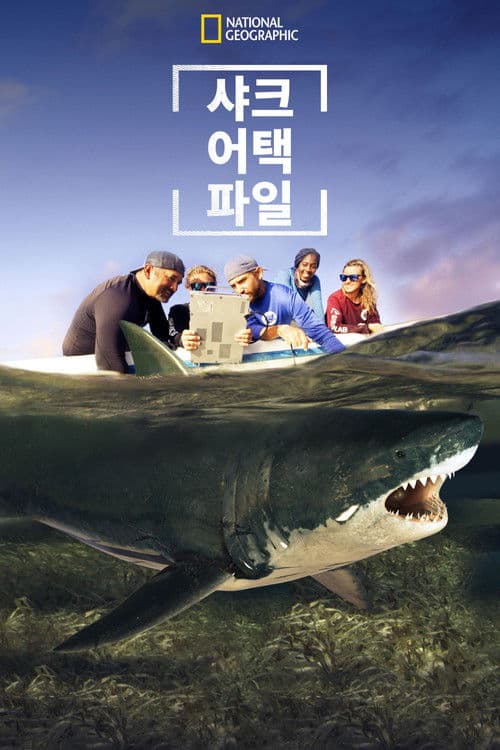 샤크 어택 파일