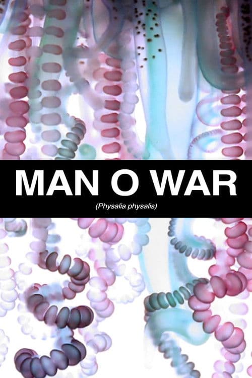 Man O War