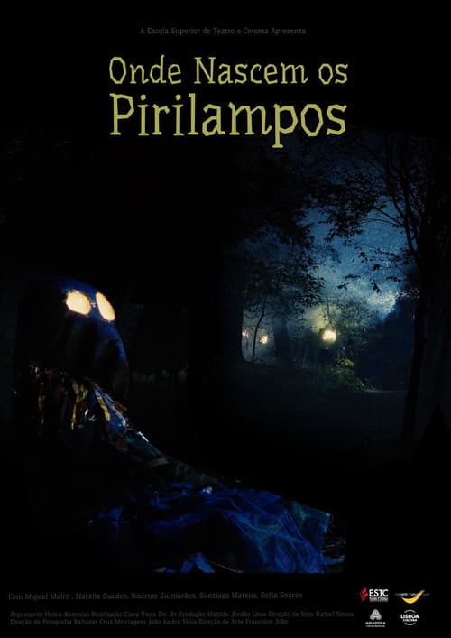 Onde Nascem os Pirilampos