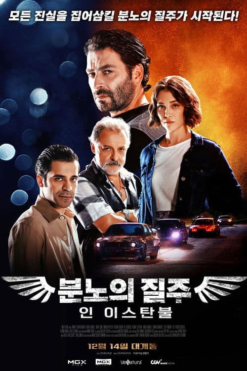 분노의 질주 인 이스탄불