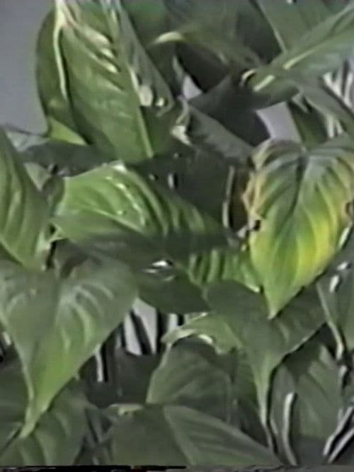 九月のテーブルまたは部分の異変